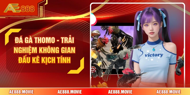 Đá Gà Thomo - Trải Nghiệm Không Gian Đấu Kê Kịch Tính